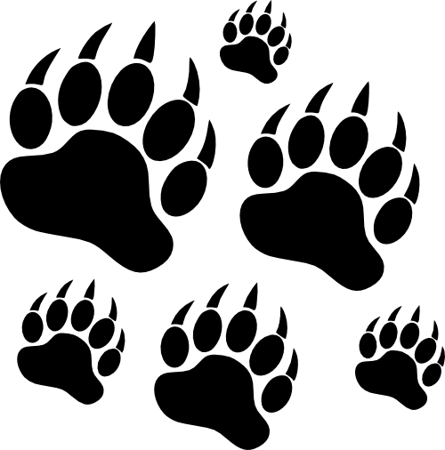 (091-S4) Bear Paw Prints Tracks Set Assorted or Same Sizes