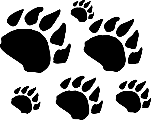 (091-S5) Bear Paw Prints Tracks Set Assorted or Same Sizes