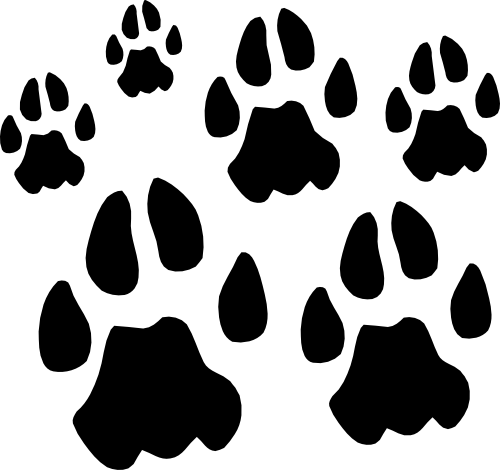 (091-S6) Panther Paw Prints Tracks Set Assorted or Same Sizes