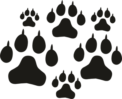 (091-S7) Dog Paw Prints Tracks Set Assorted or Same Sizes
