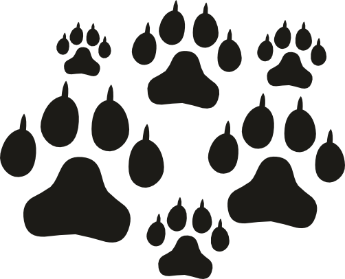 (091-S7) Dog Paw Prints Tracks Set Assorted or Same Sizes