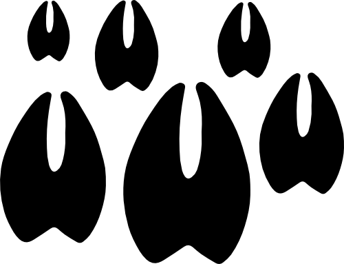 (091-S8) Deer Hoof Prints Tracks Set Assorted or Same Sizes