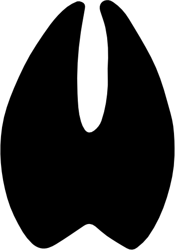 (s091-S8) Deer Print