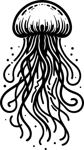 (s092-3-A) Jellyfish