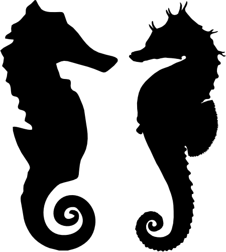 (s092-F) Seahorse Silhouette