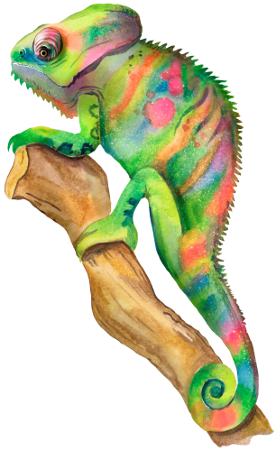 (s094-3-C) Chameleon