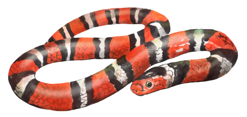 (s094-3-E) Snake