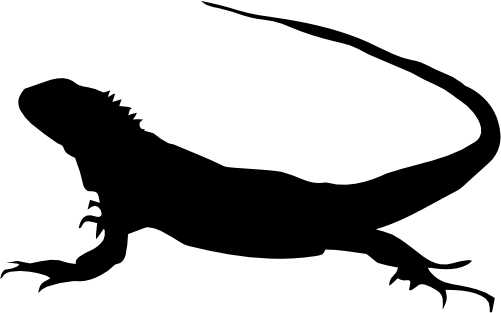 (s094-1-C) Iguana Silhouette