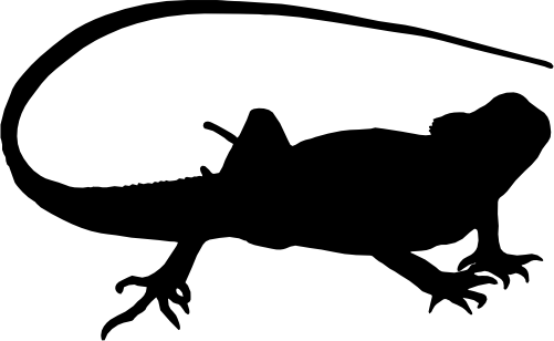 (s094-1-D) Iguana Silhouette