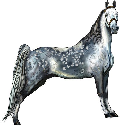 (s098-3-I)  Watercolor Horse