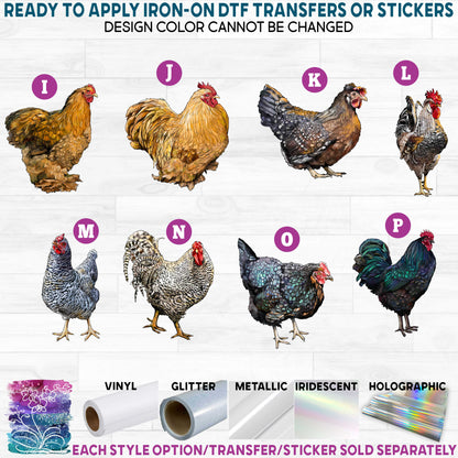 (s098-4) Rooster Hen Chick Chickens Printed Heat Transfer or Sticker