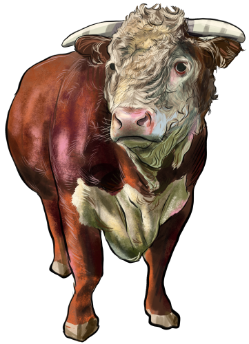 (s098-5-2C) Cow