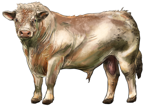 (s098-5-2D) Cow