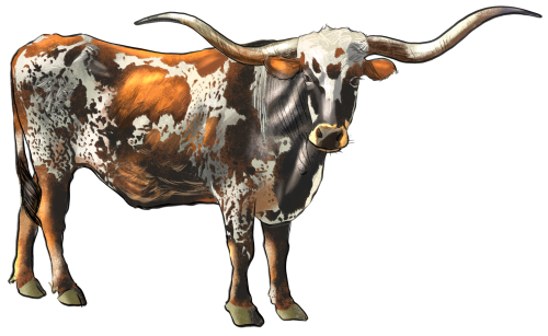 (s098-5-2E) Cow Longhorn