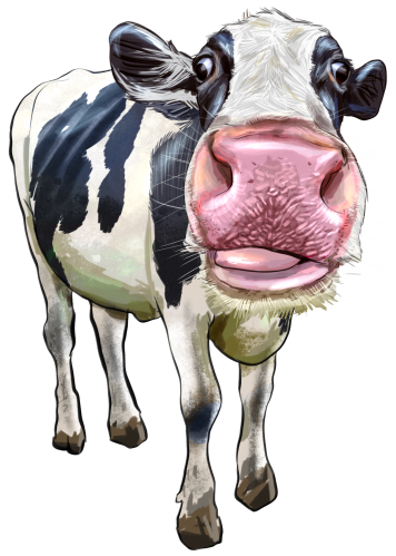 (s098-5-1I) Cow