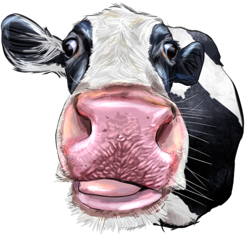 (s098-5-1J) Cow Face