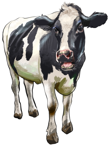 (s098-5-2K) Cow