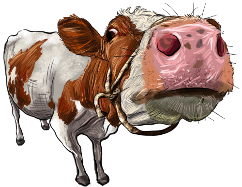 (s098-5-1N) Cow