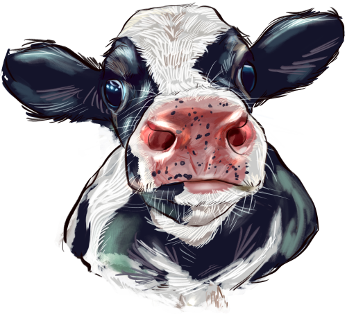 (s098-5-1O) Cow Face