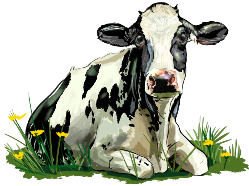 (s098-5-1P) Cow
