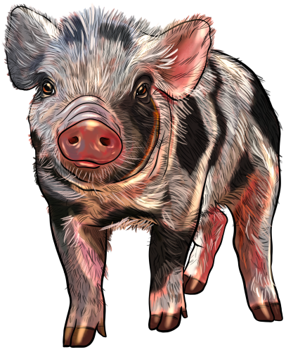 (s098-6-E) Pig