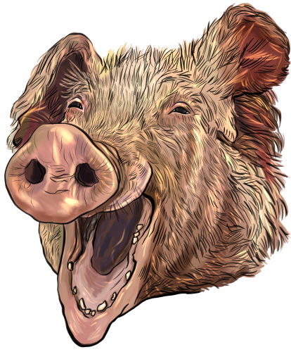 (s098-6-G) Pig Face