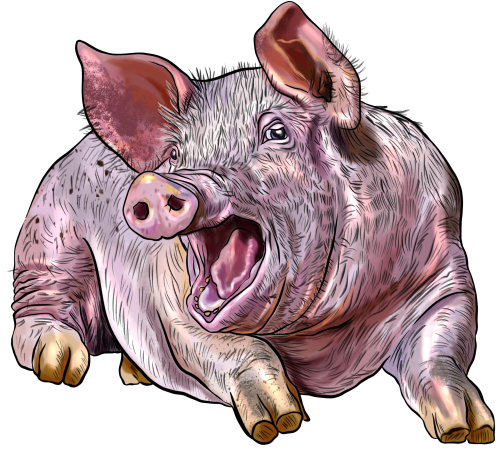 (s098-6-J) Pig
