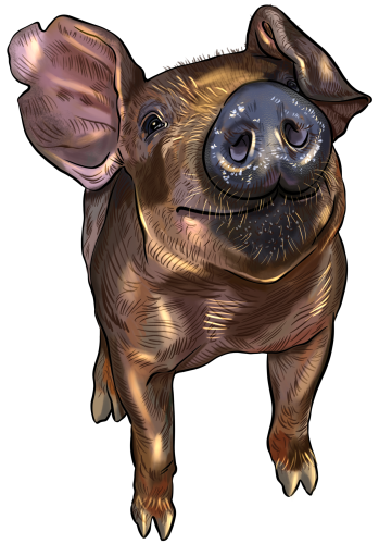 (s098-6-P) Pig