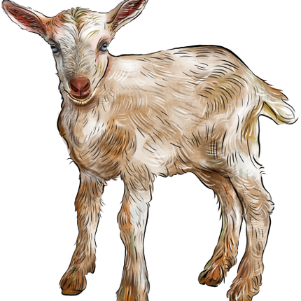 (s098-7-1B) Goat