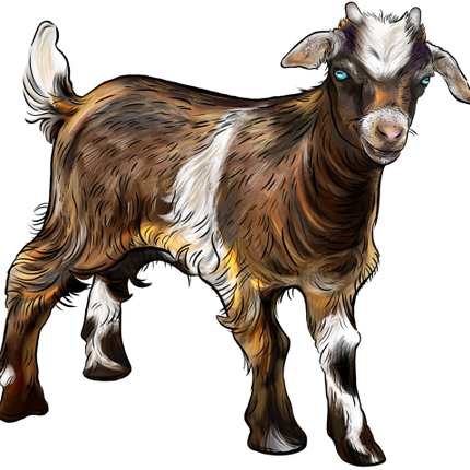 (s098-7-1D) Goat