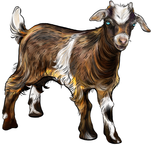 (s098-7-1D) Goat