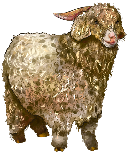 (s098-7-1E) Goat