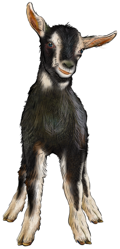 (s098-7-1F) Goat