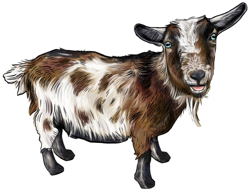 (s098-7-1I) Goat