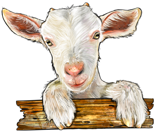 (s098-7-1M) Goat