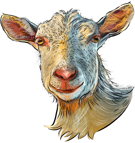 (s098-7-1N) Goat