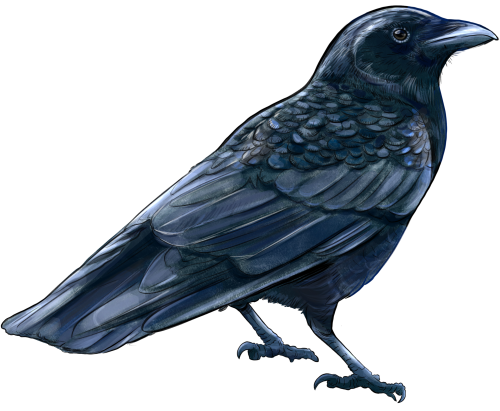 (s098-9-2I) Crow