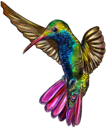 (s098-9-O) Hummingbird