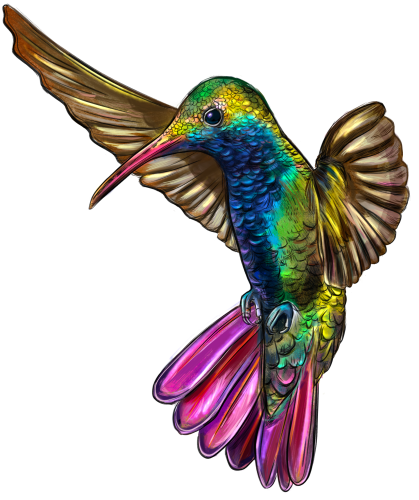 (s098-9-O) Hummingbird
