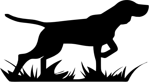 (s009-1-1B) Pointer