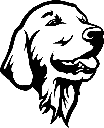 (s009-1-1C) Golden Retriever