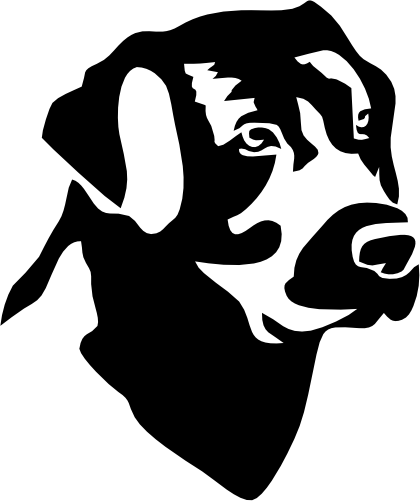 (s009-1-1D) Lab Labrador