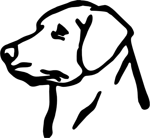 (s009-1-1E) Lab Labrador