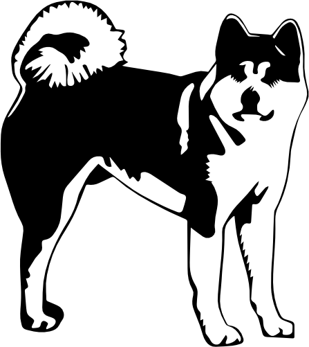 (009-01-5V) Akita