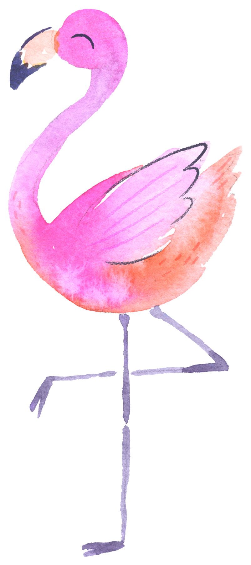 PPB-034 Flamingo 6inch Matte