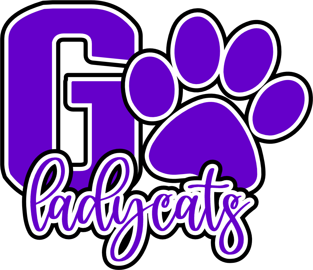 (s334-2B) Go Lady Cats Team Name