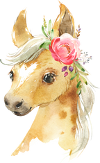 (s313-1-1B-30) Baby Horse Pink Flowers