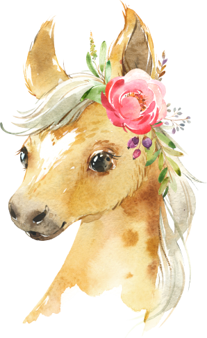 (s313-1-1B-30) Baby Horse Pink Flowers