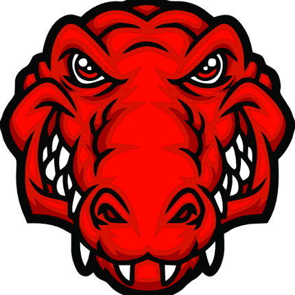 (145-1A-48) Gator Mascot Iron-On Transfer