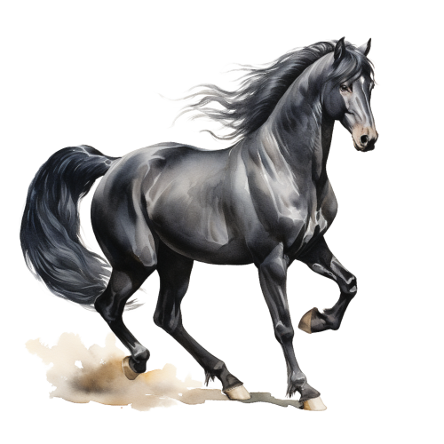 (s398-1-1P)  Watercolor Horse